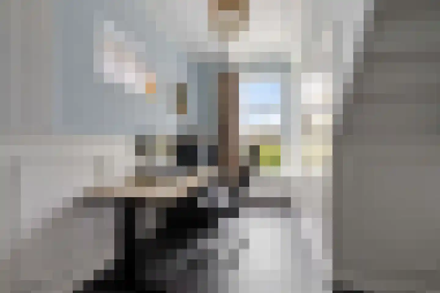 Legedyk 28 Scharnegoutum thumbnail 22