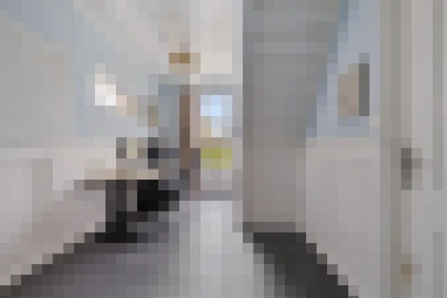 Legedyk 28 Scharnegoutum thumbnail 24