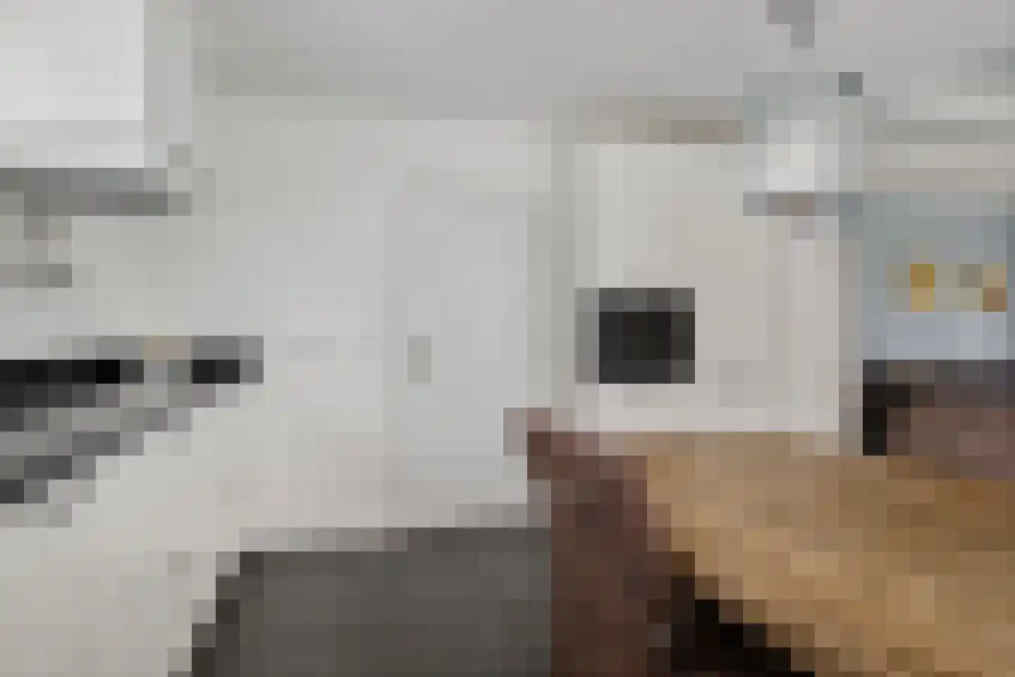 Legedyk 28 Scharnegoutum thumbnail 30