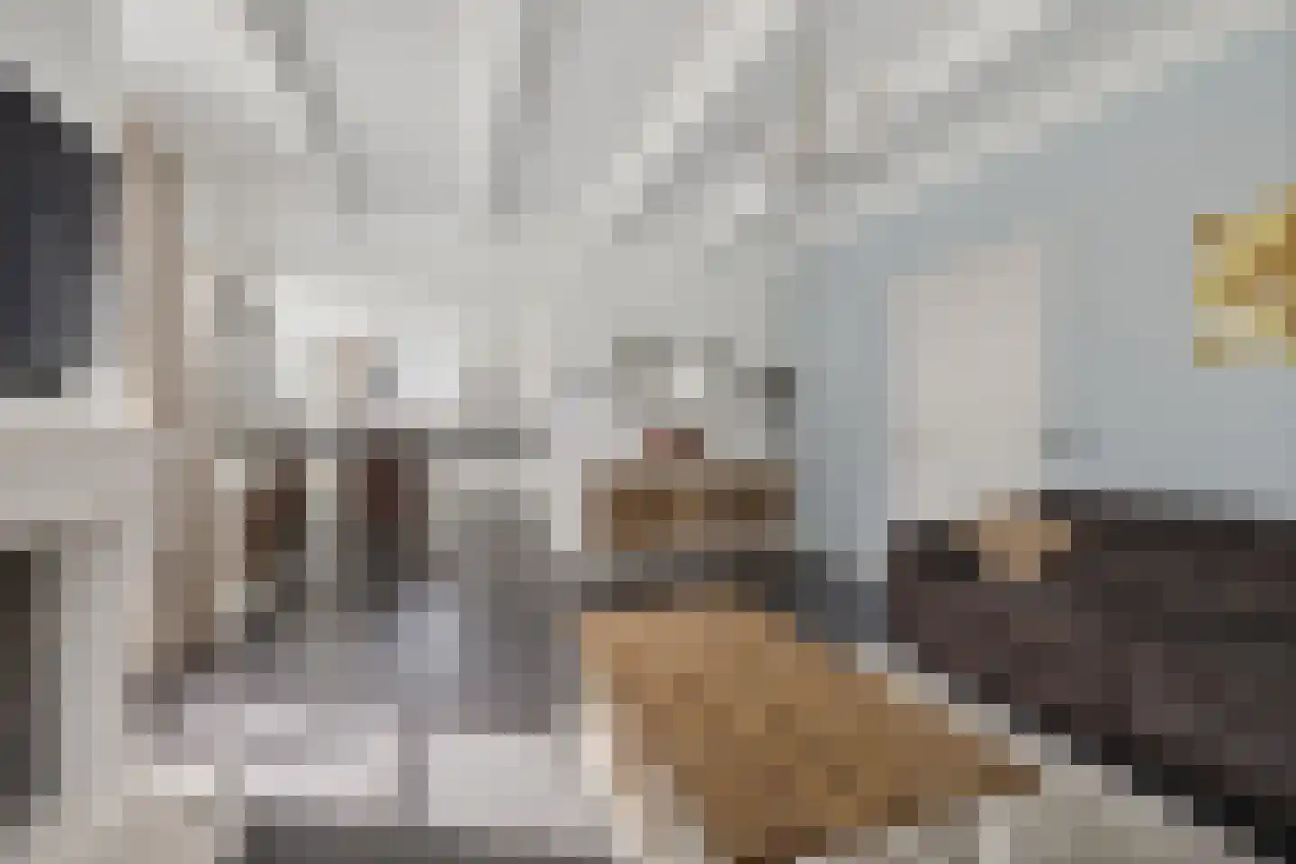 Legedyk 28 Scharnegoutum thumbnail 33