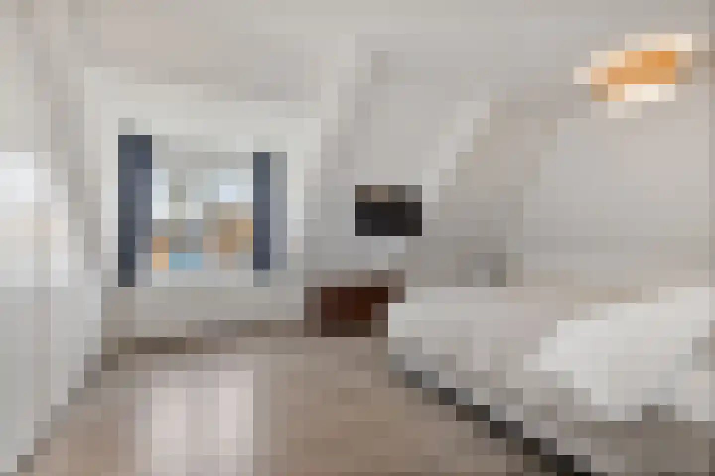 Legedyk 28 Scharnegoutum thumbnail 40