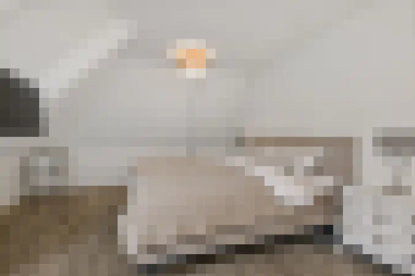 Legedyk 28 Scharnegoutum thumbnail 41