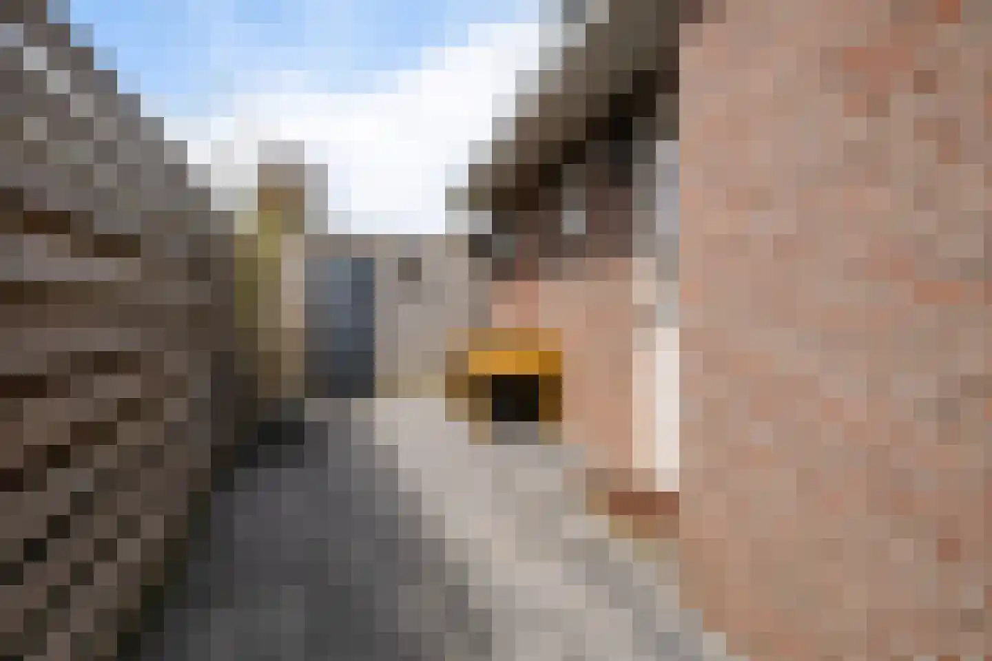 Legedyk 28 Scharnegoutum thumbnail 47