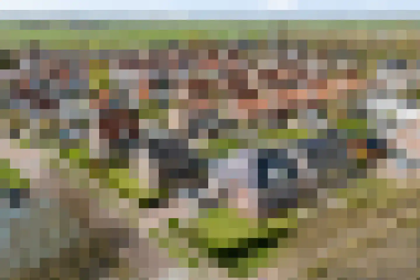 Legedyk 28 Scharnegoutum thumbnail 57