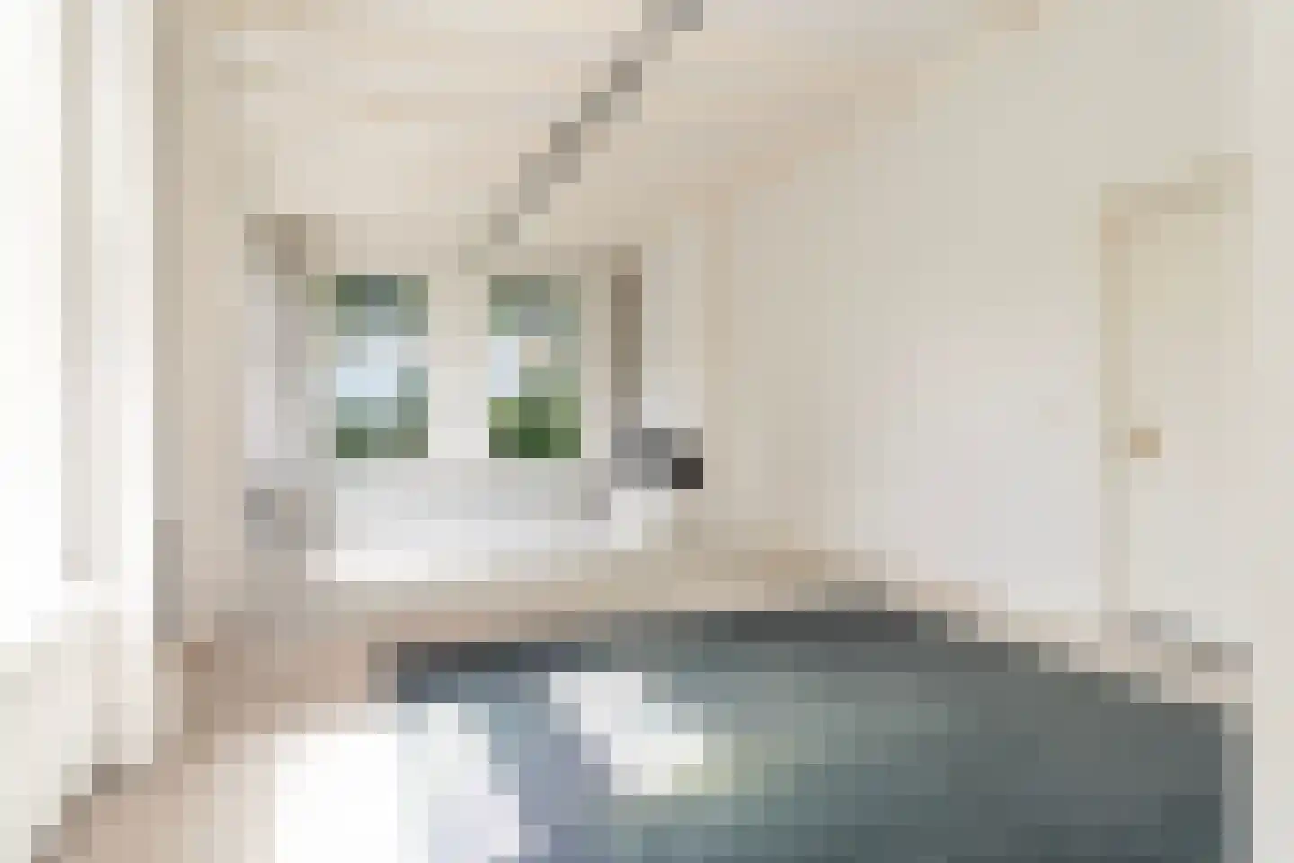 Legedyk 32 Scharnegoutum thumbnail 12