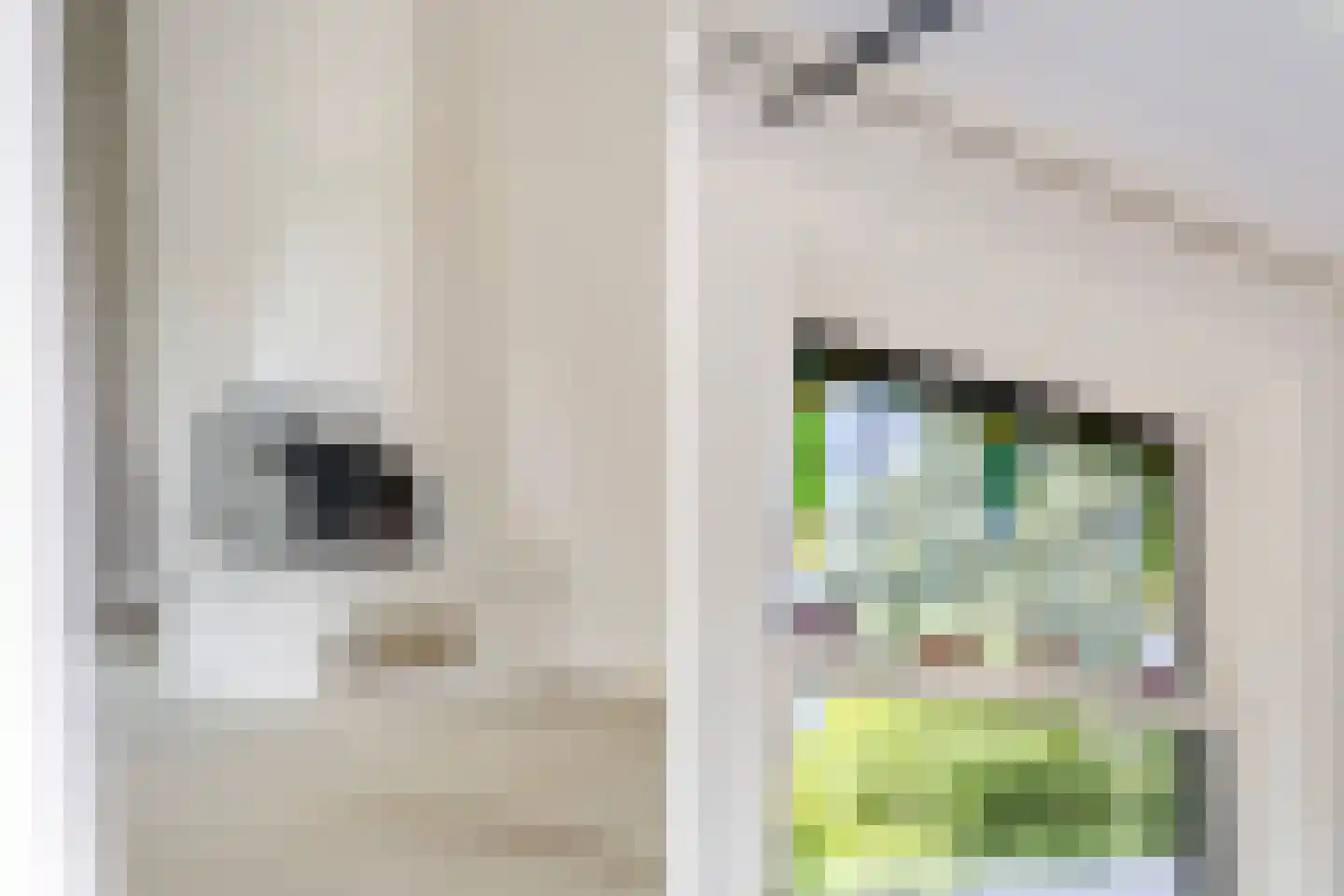 Legedyk 32 Scharnegoutum thumbnail 13