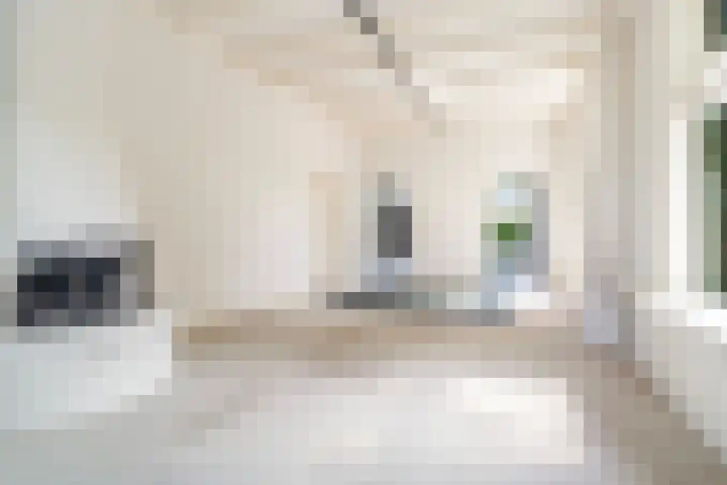 Legedyk 32 Scharnegoutum thumbnail 14