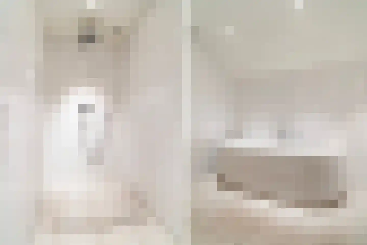 Legedyk 32 Scharnegoutum thumbnail 28