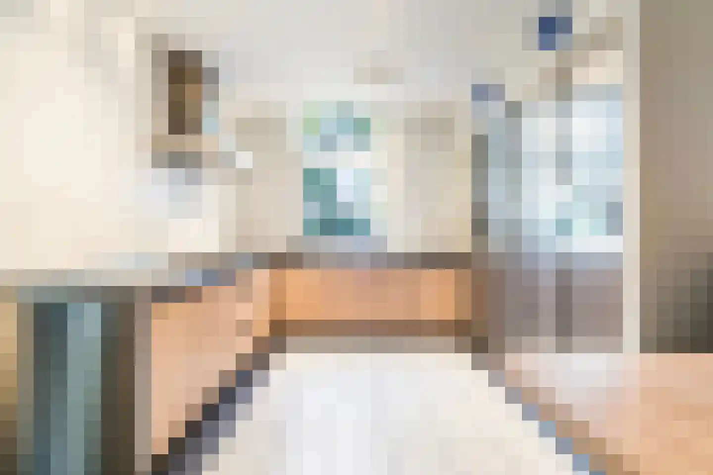 Legedyk 32 Scharnegoutum foto 3