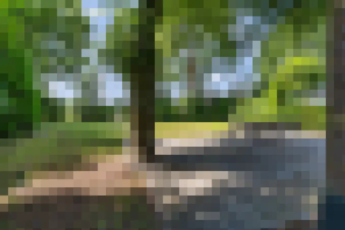 Legedyk 32 Scharnegoutum thumbnail 35