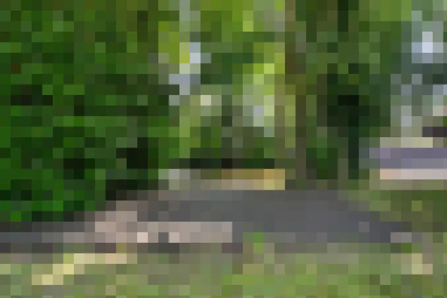 Legedyk 32 Scharnegoutum thumbnail 38
