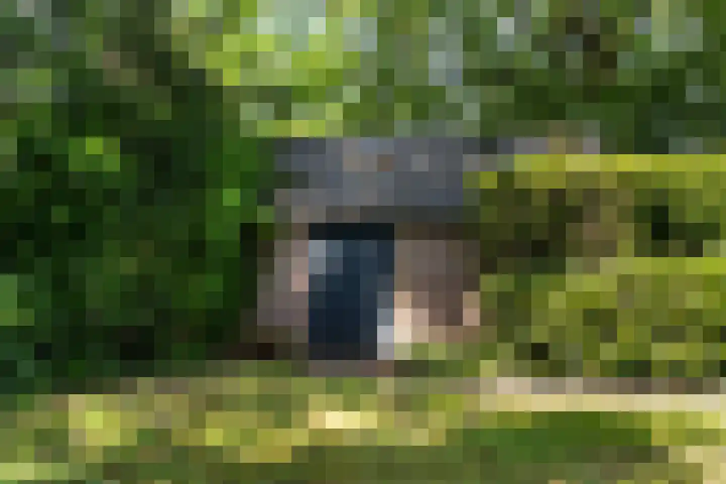 Legedyk 32 Scharnegoutum thumbnail 39
