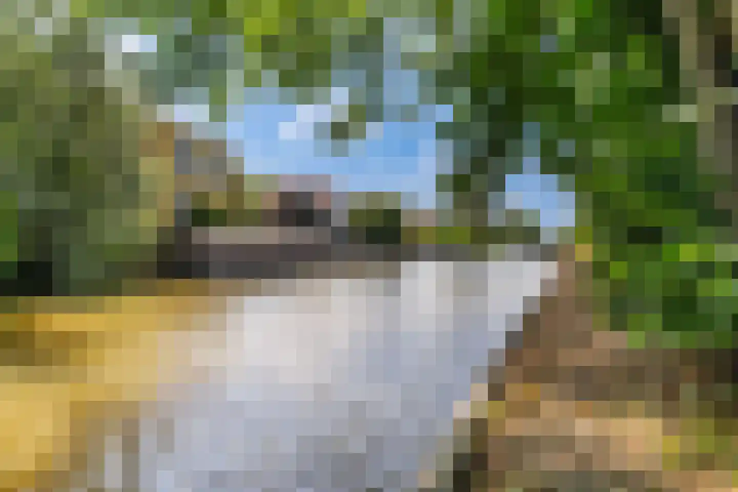 Legedyk 32 Scharnegoutum thumbnail 40