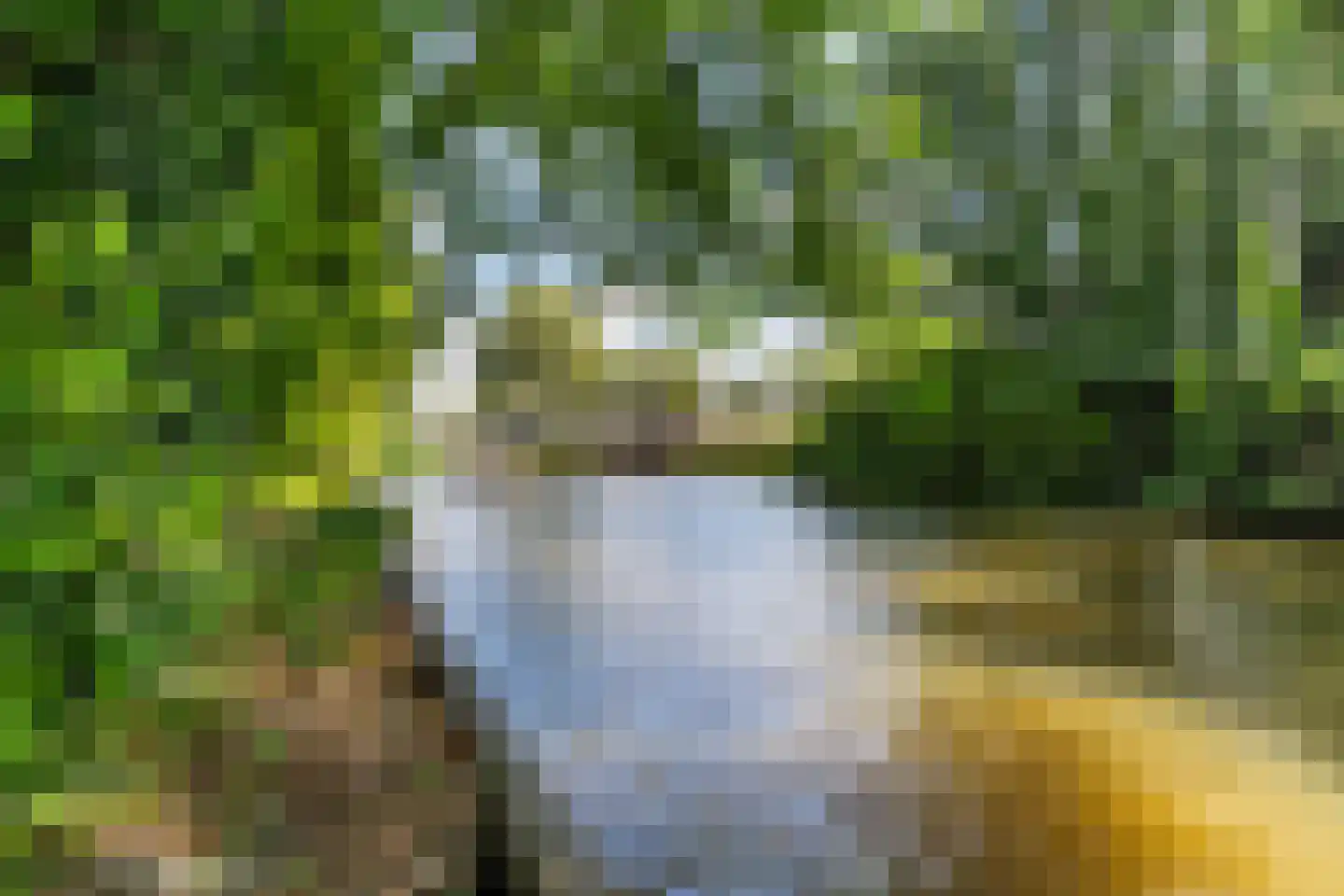Legedyk 32 Scharnegoutum thumbnail 41