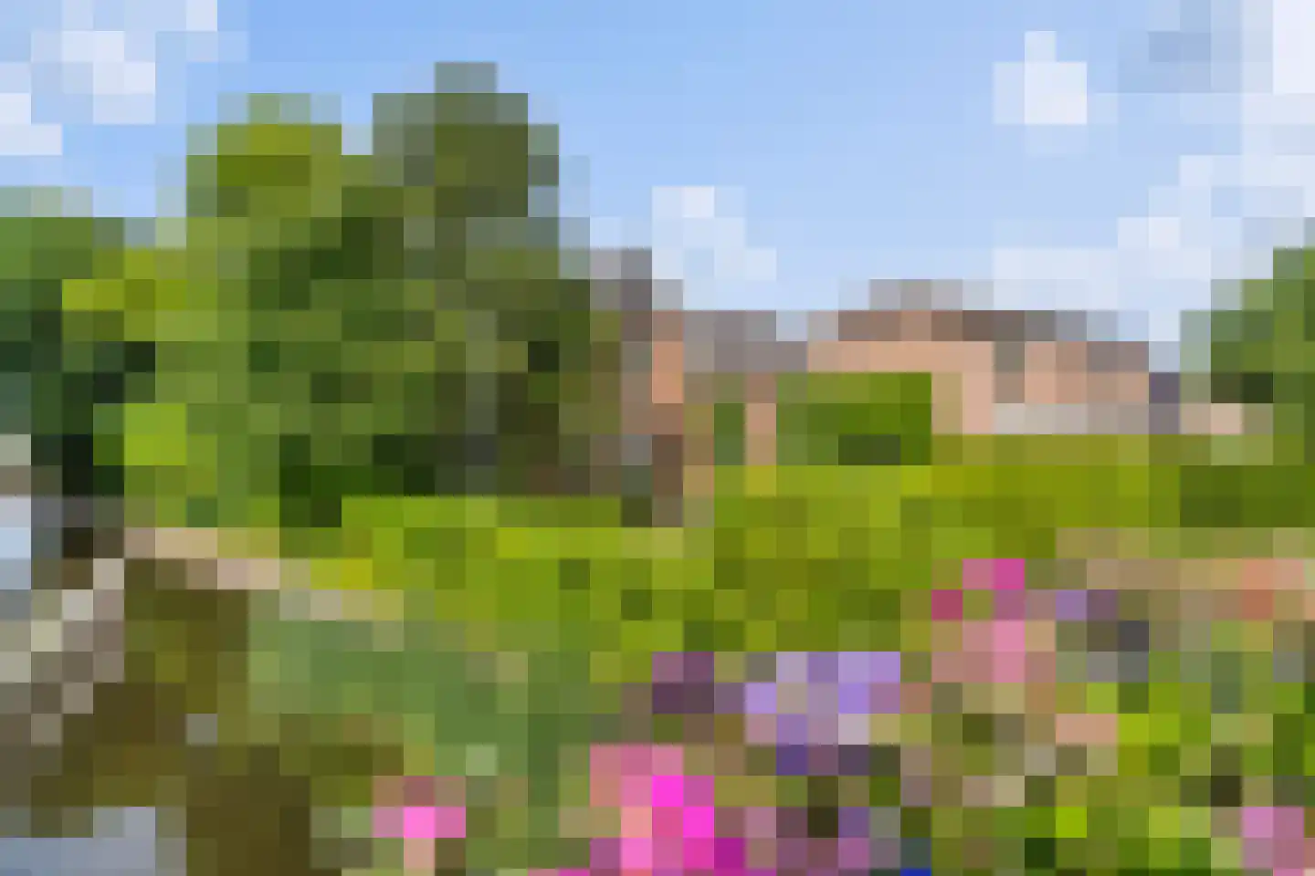 Legedyk 32 Scharnegoutum thumbnail 43