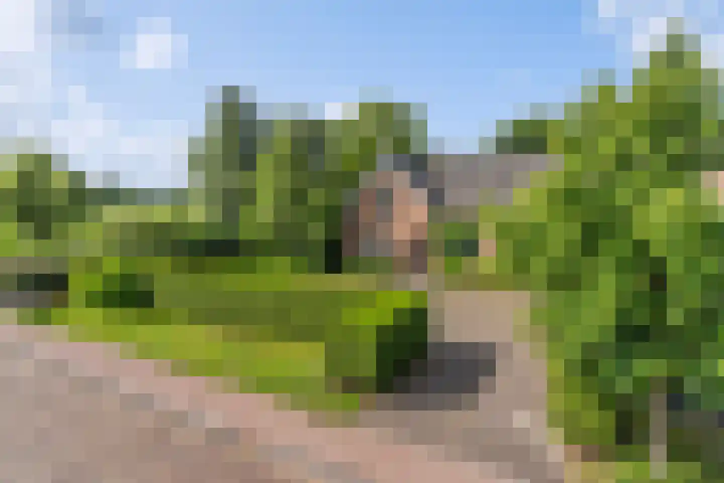 Legedyk 32 Scharnegoutum thumbnail 44