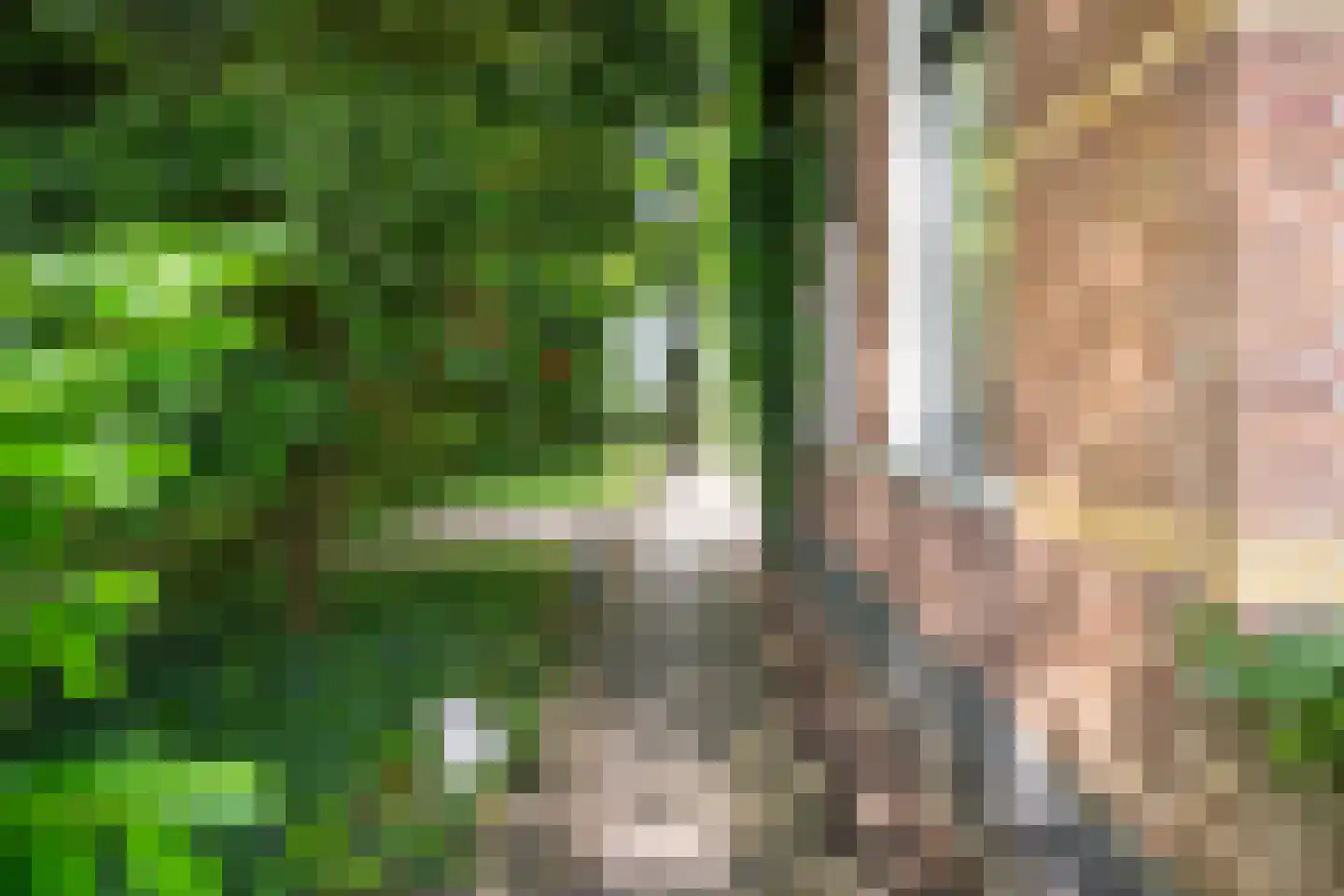 Legedyk 32 Scharnegoutum thumbnail 45