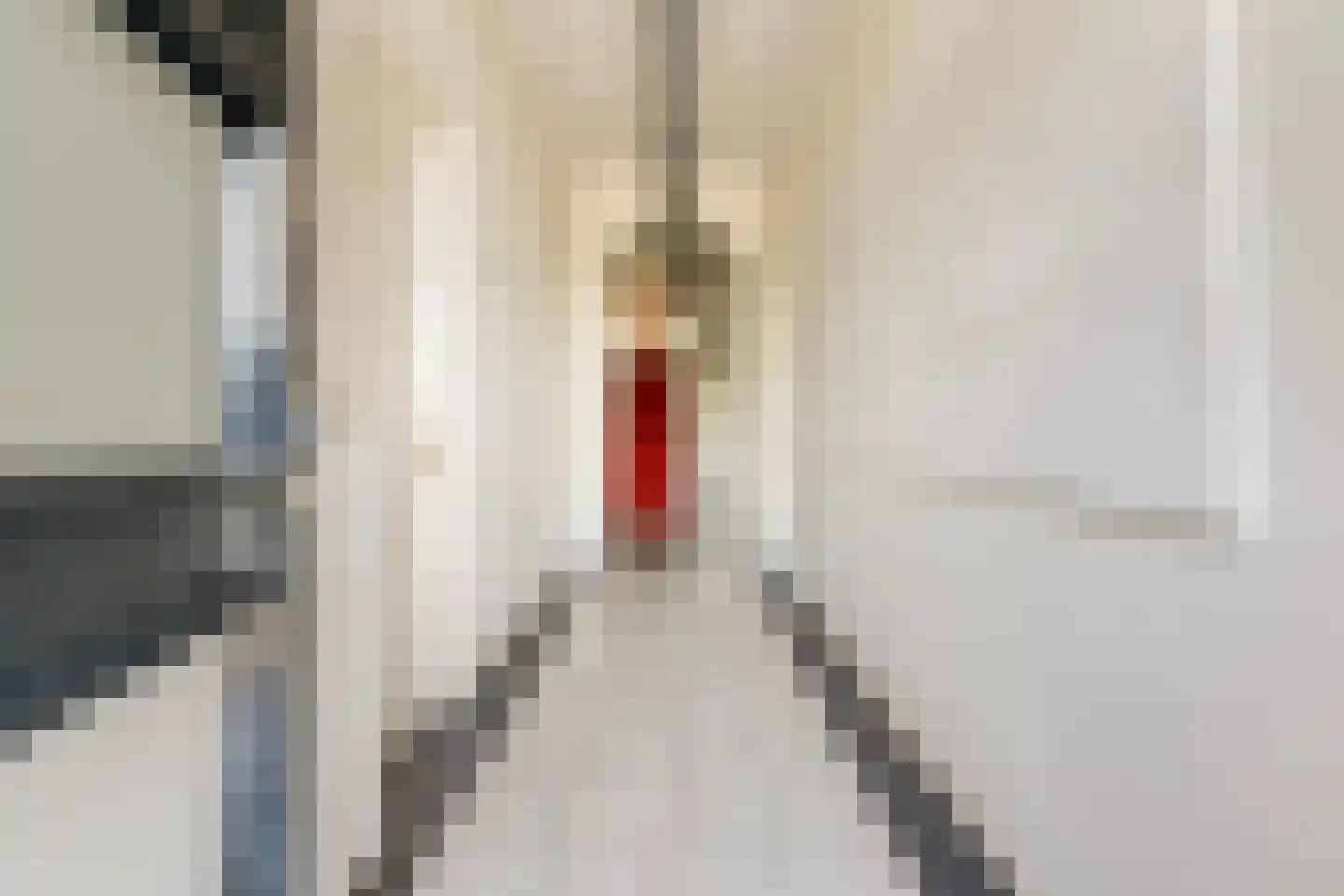 Legedyk 32 Scharnegoutum thumbnail 5