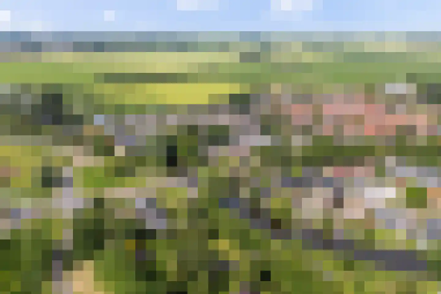 Legedyk 32 Scharnegoutum thumbnail 58