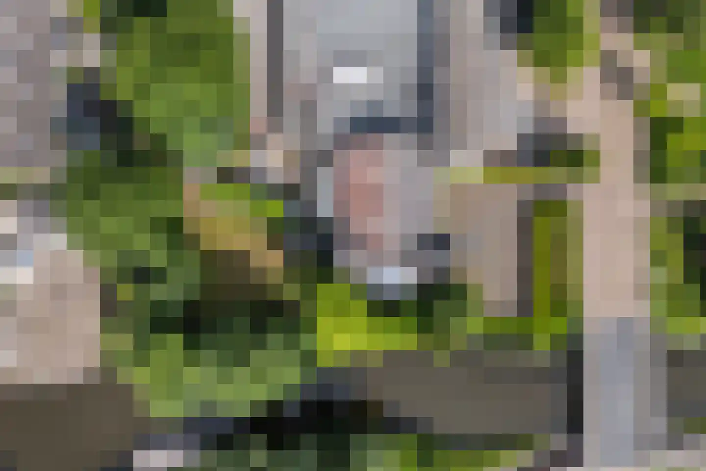 Legedyk 32 Scharnegoutum thumbnail 60