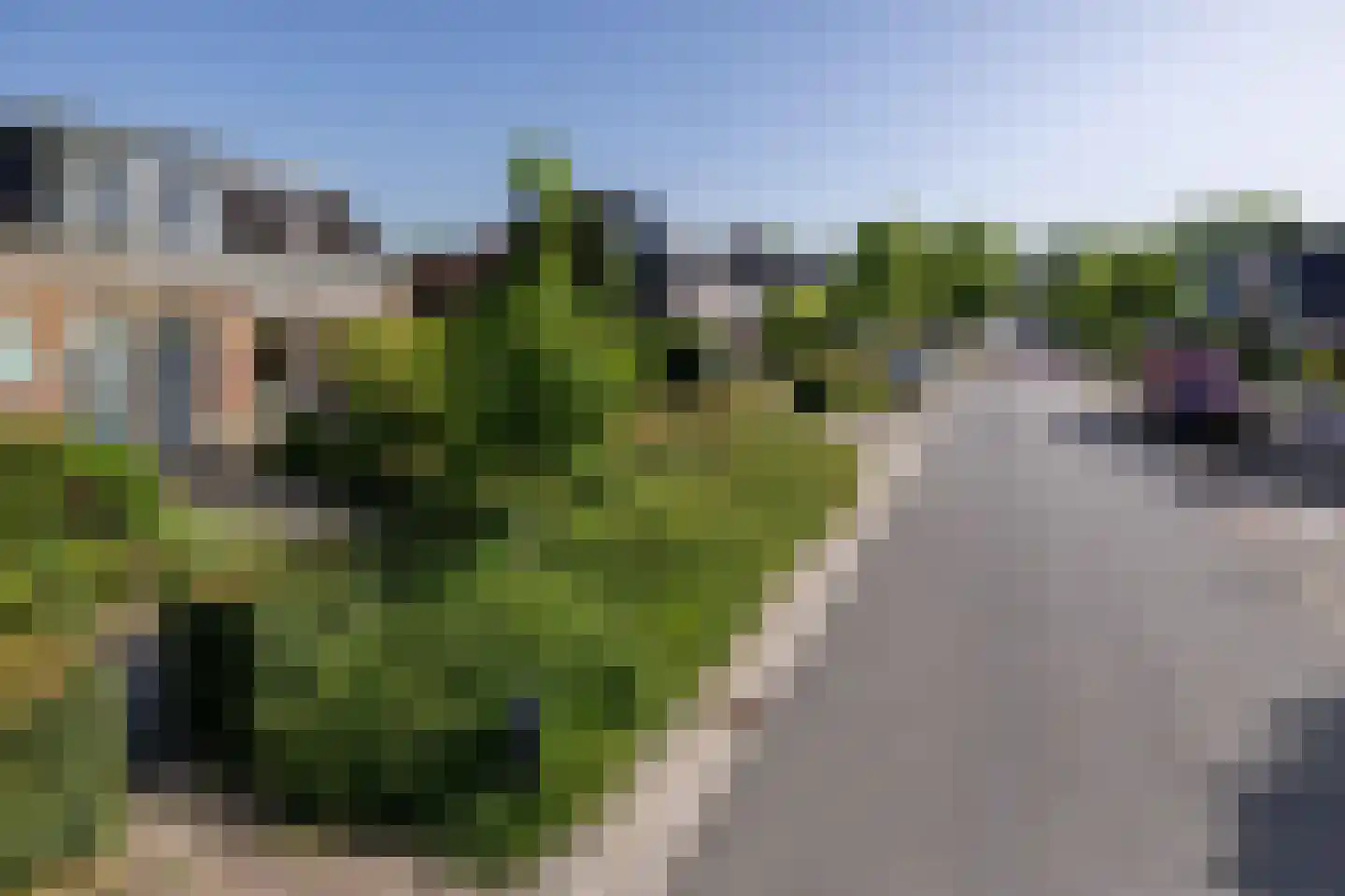 Legedyk 42 Wirdum thumbnail 10