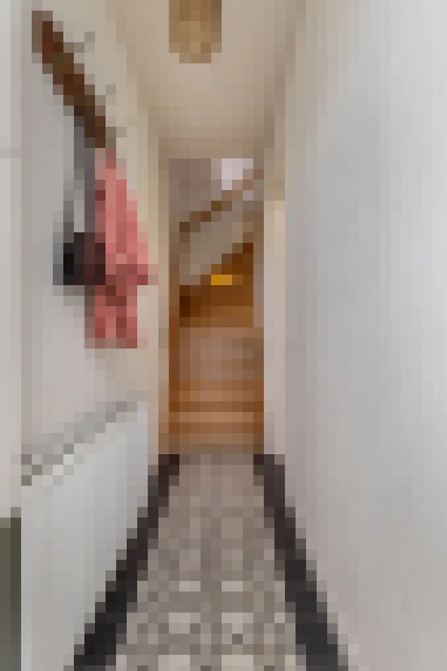 Legedyk 42 Wirdum thumbnail 12