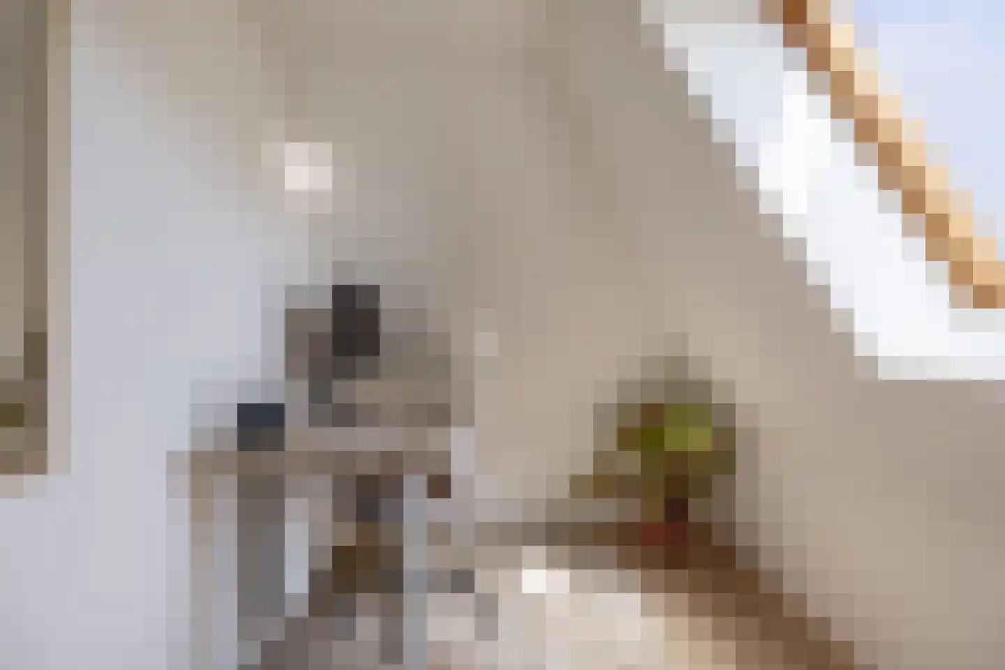 Legedyk 42 Wirdum thumbnail 36