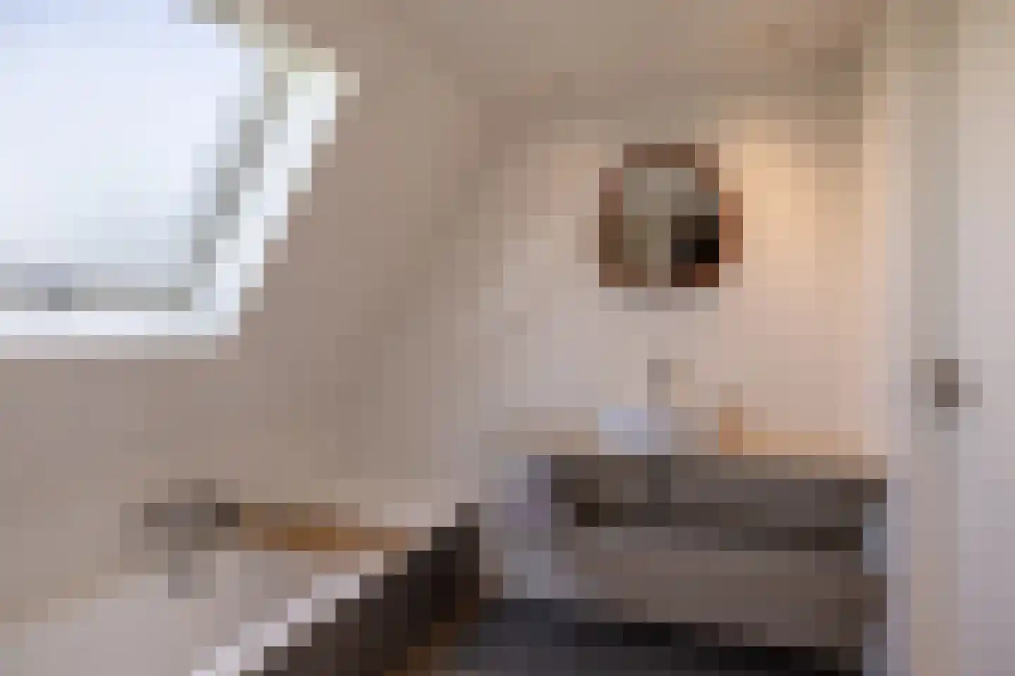 Legedyk 42 Wirdum thumbnail 39