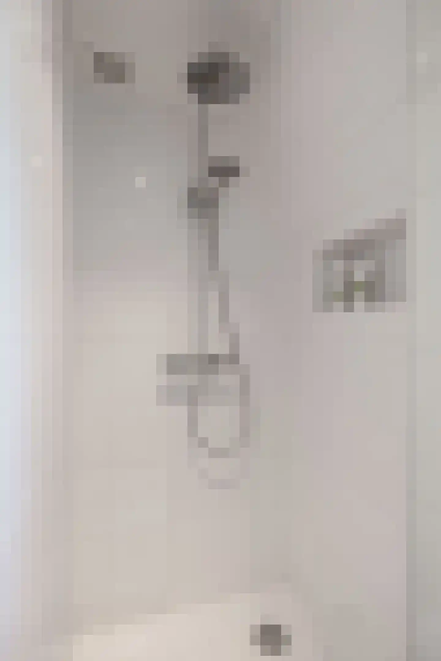 Legedyk 42 Wirdum thumbnail 41