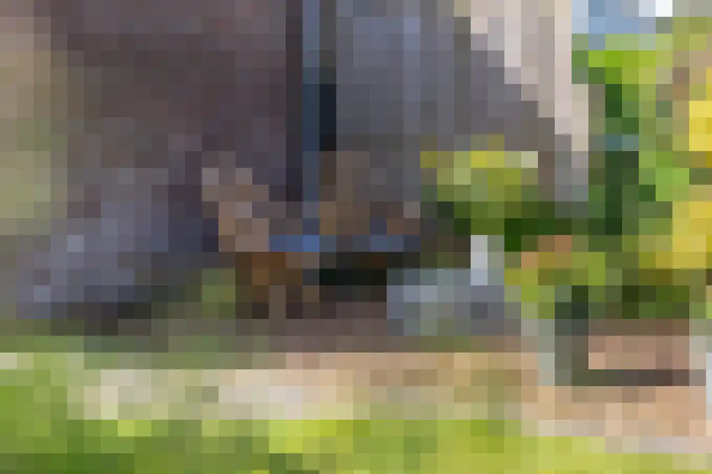 Legedyk 42 Wirdum thumbnail 50