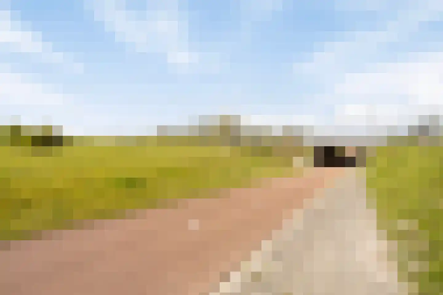 Legedyk 94 Wirdum thumbnail 52