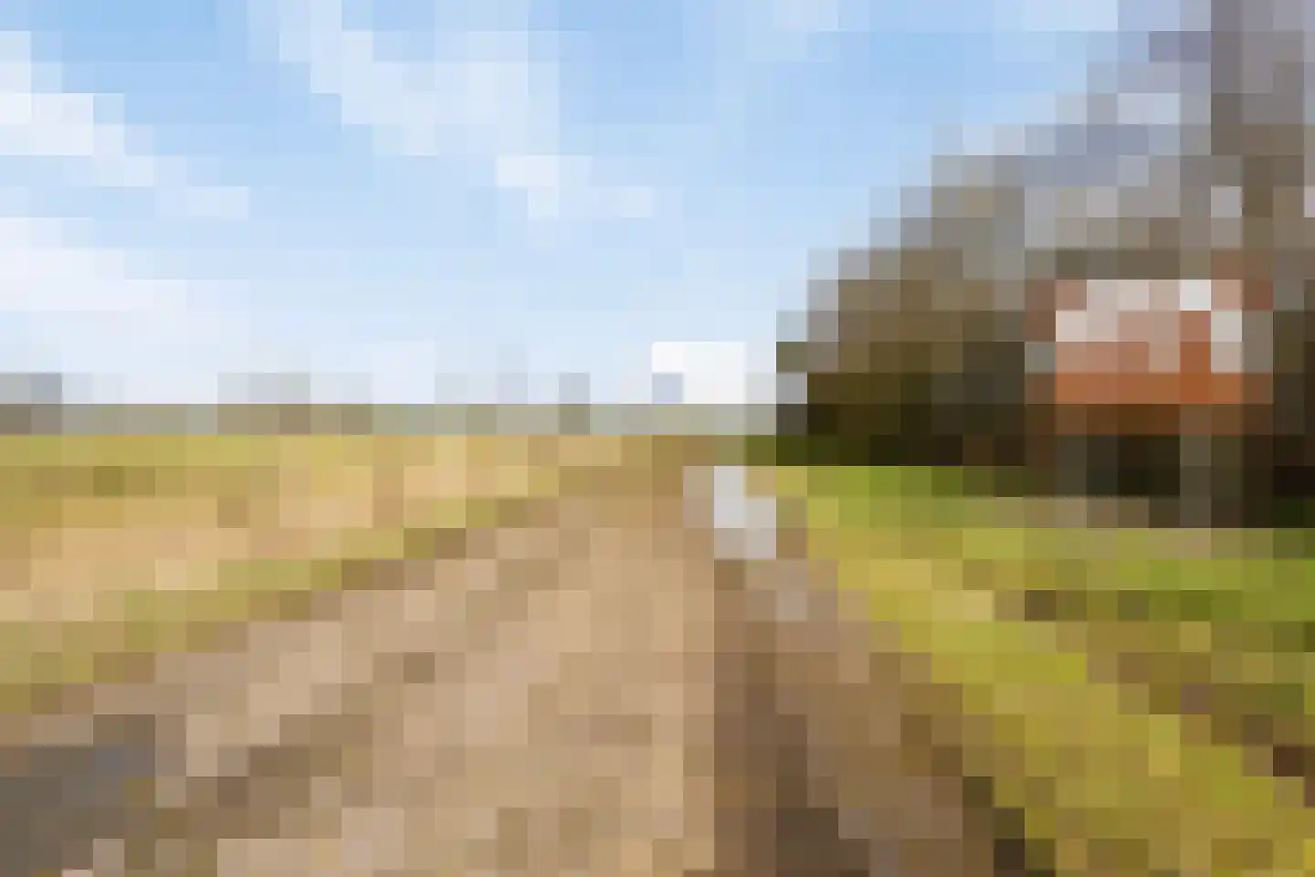 Legedyk 94 Wirdum thumbnail 53