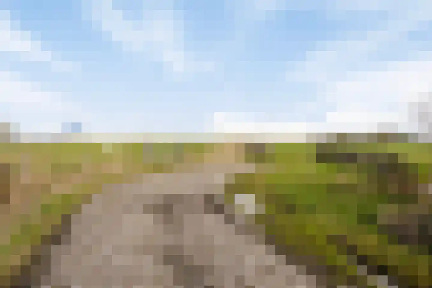 Legedyk 94 Wirdum thumbnail 54