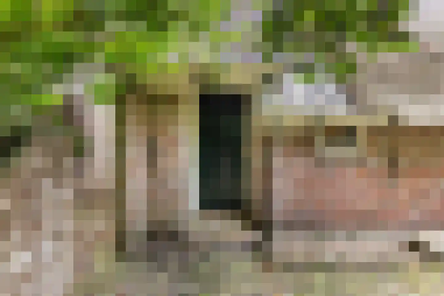 Legeloane 4 Augustinusga thumbnail 13