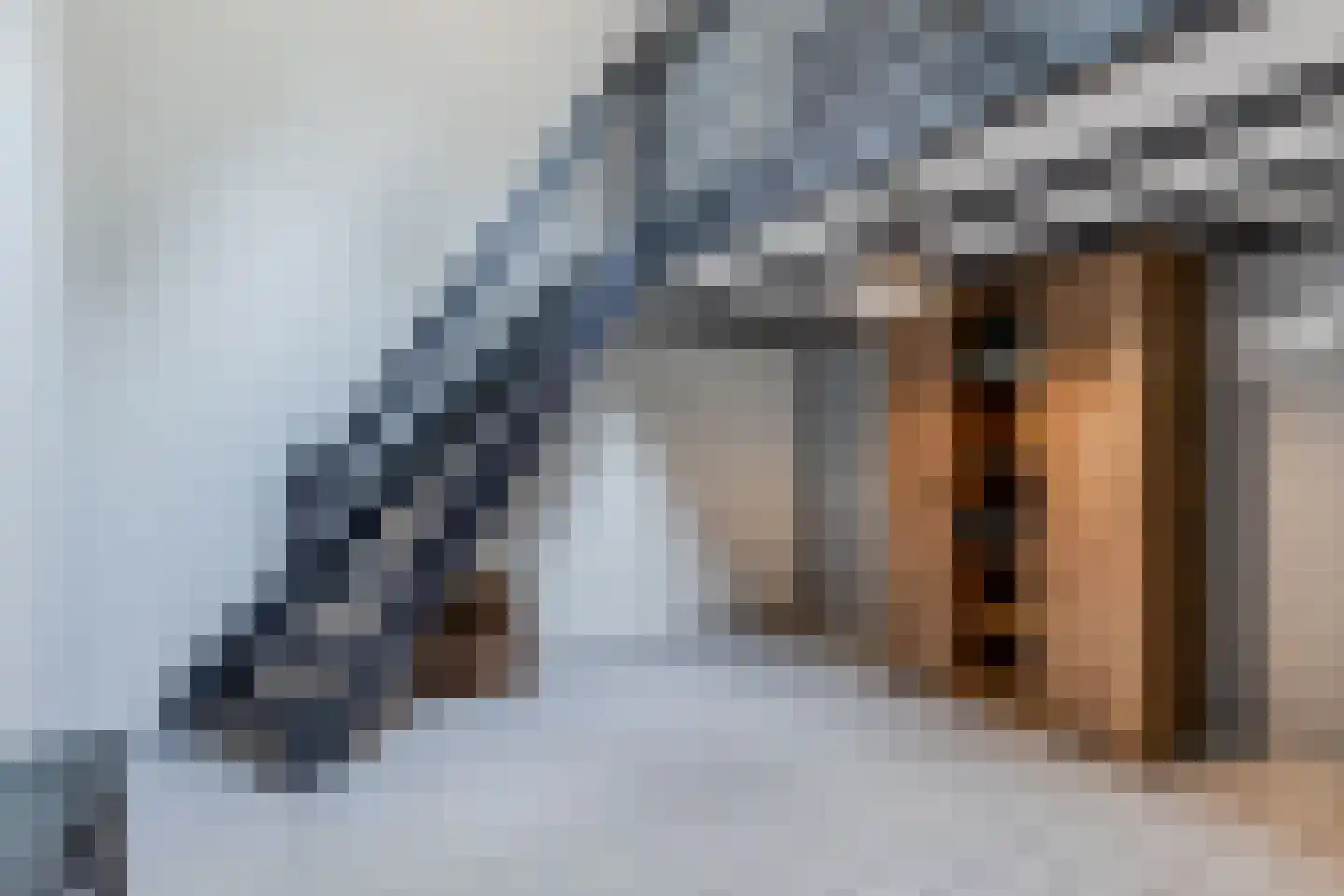 Legeloane 4 Augustinusga thumbnail 27