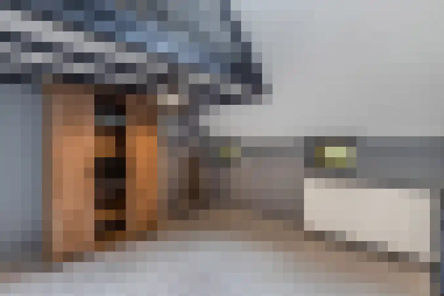 Legeloane 4 Augustinusga thumbnail 29