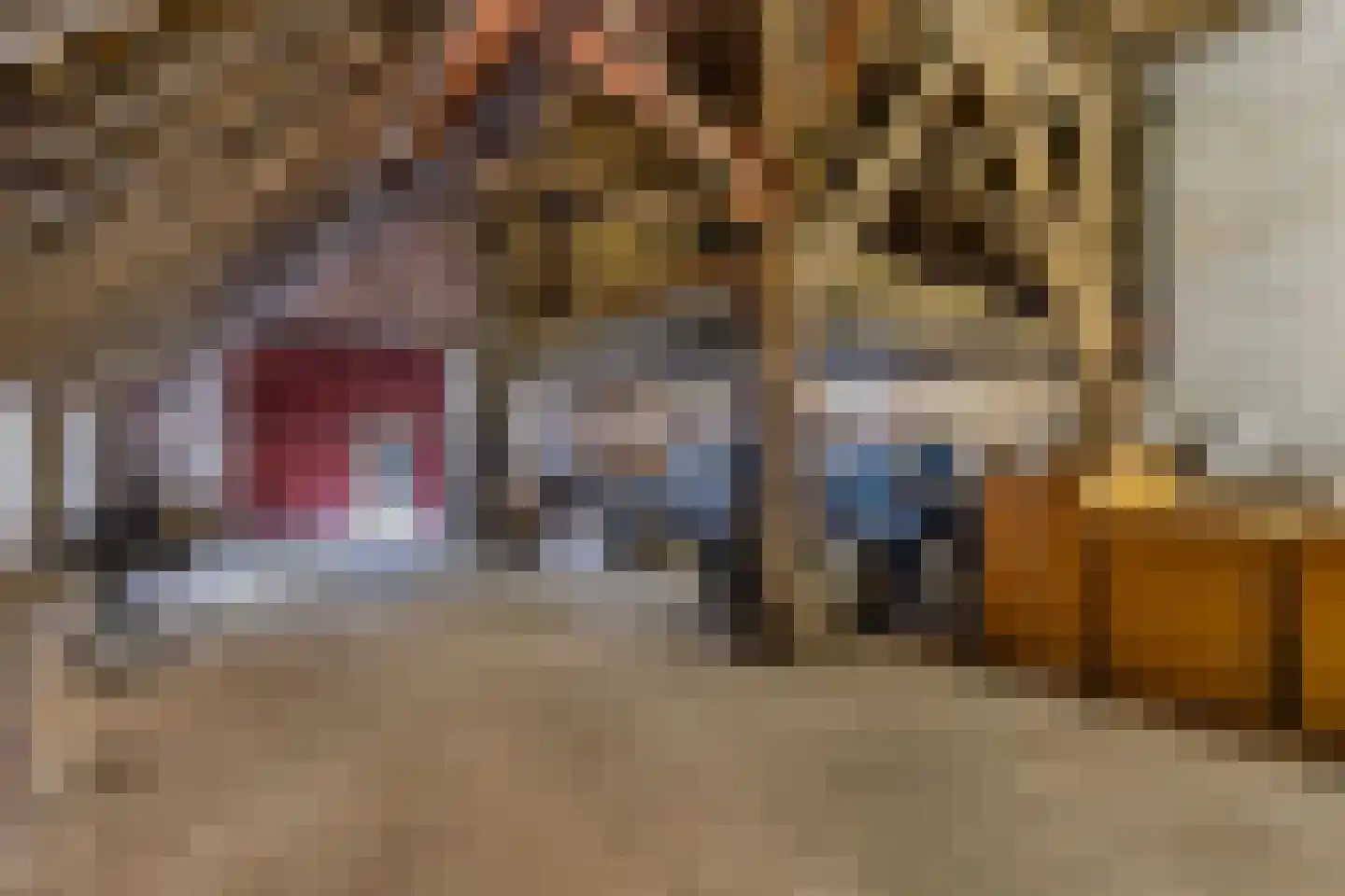 Legeloane 4 Augustinusga thumbnail 37