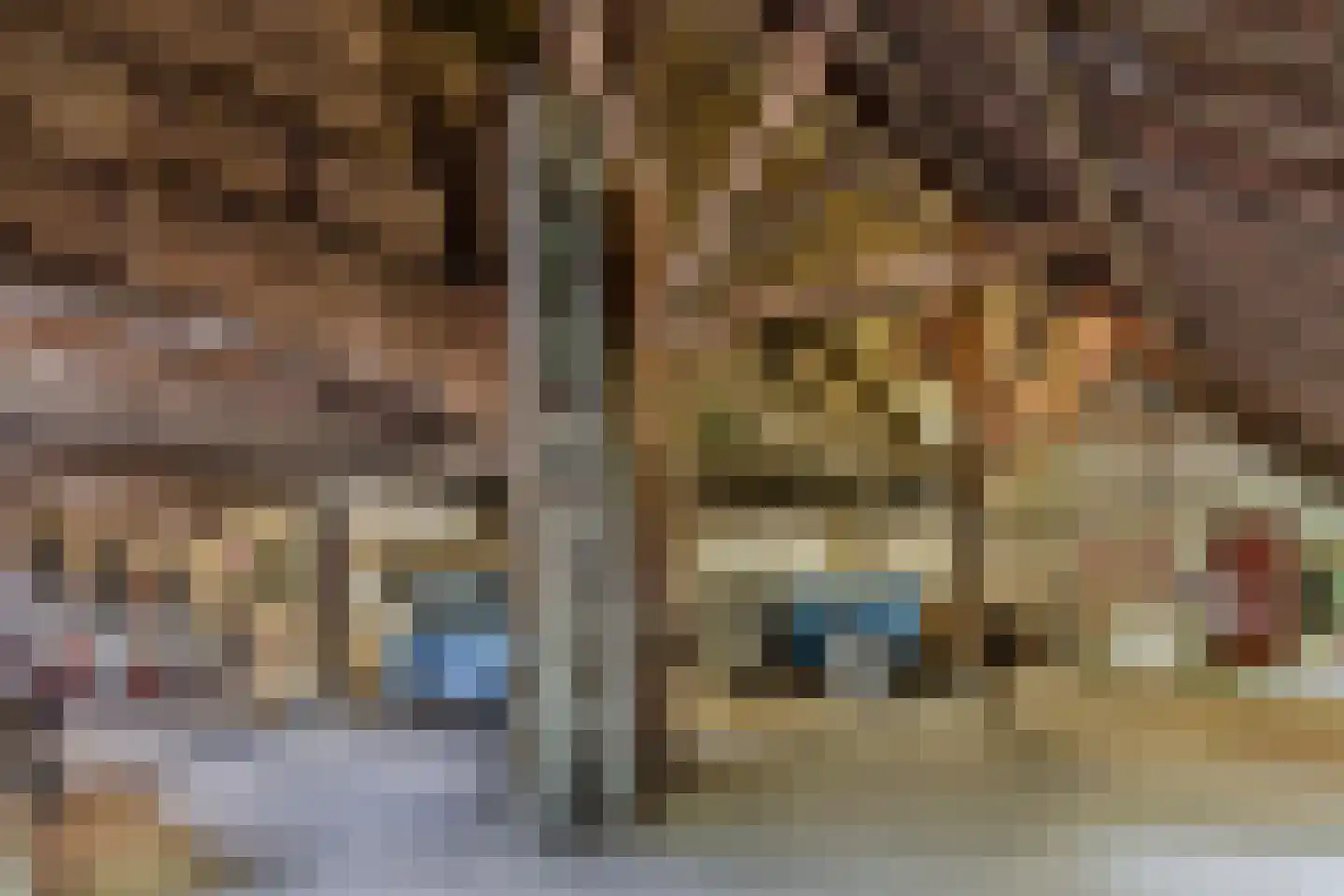 Legeloane 4 Augustinusga thumbnail 39