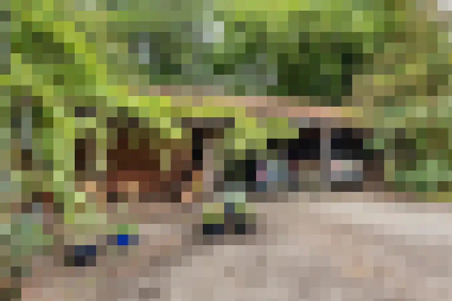 Legeloane 4 Augustinusga thumbnail 42