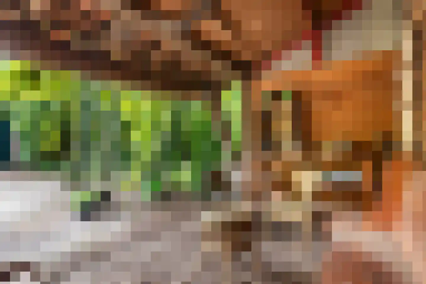 Legeloane 4 Augustinusga thumbnail 43