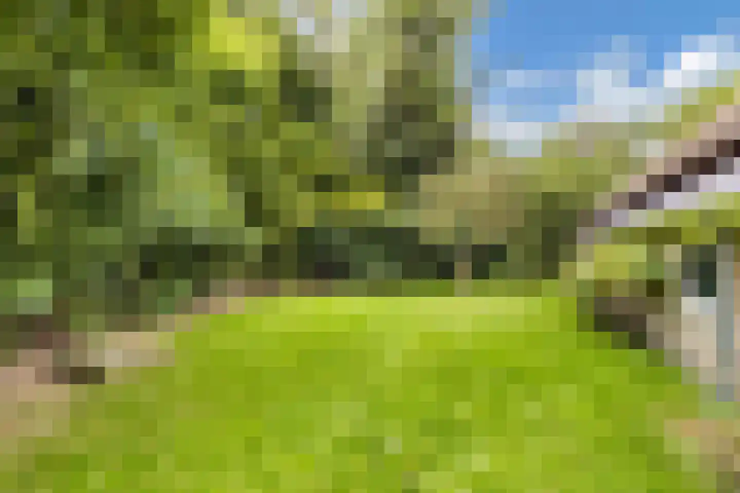 Legeloane 4 Augustinusga thumbnail 46