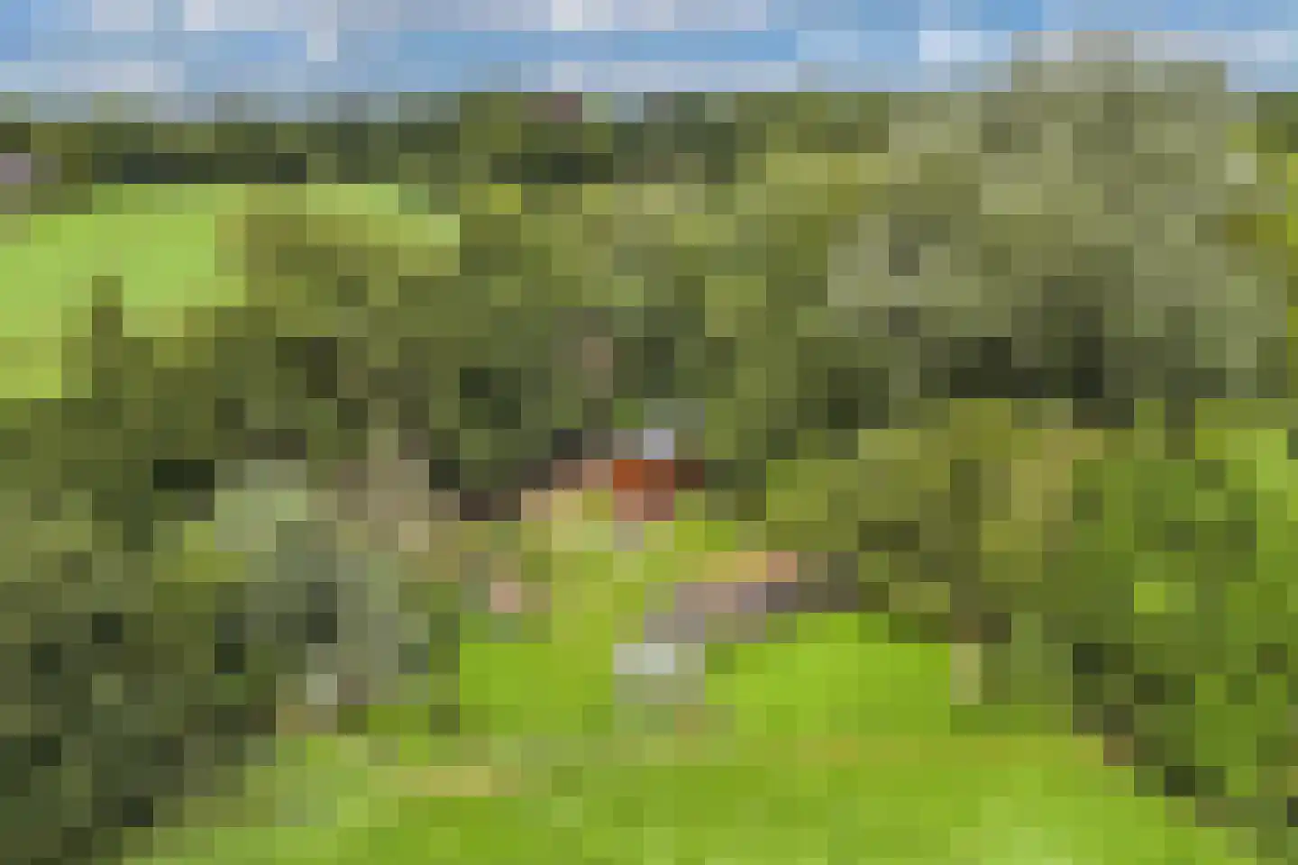 Legeloane 4 Augustinusga thumbnail 48