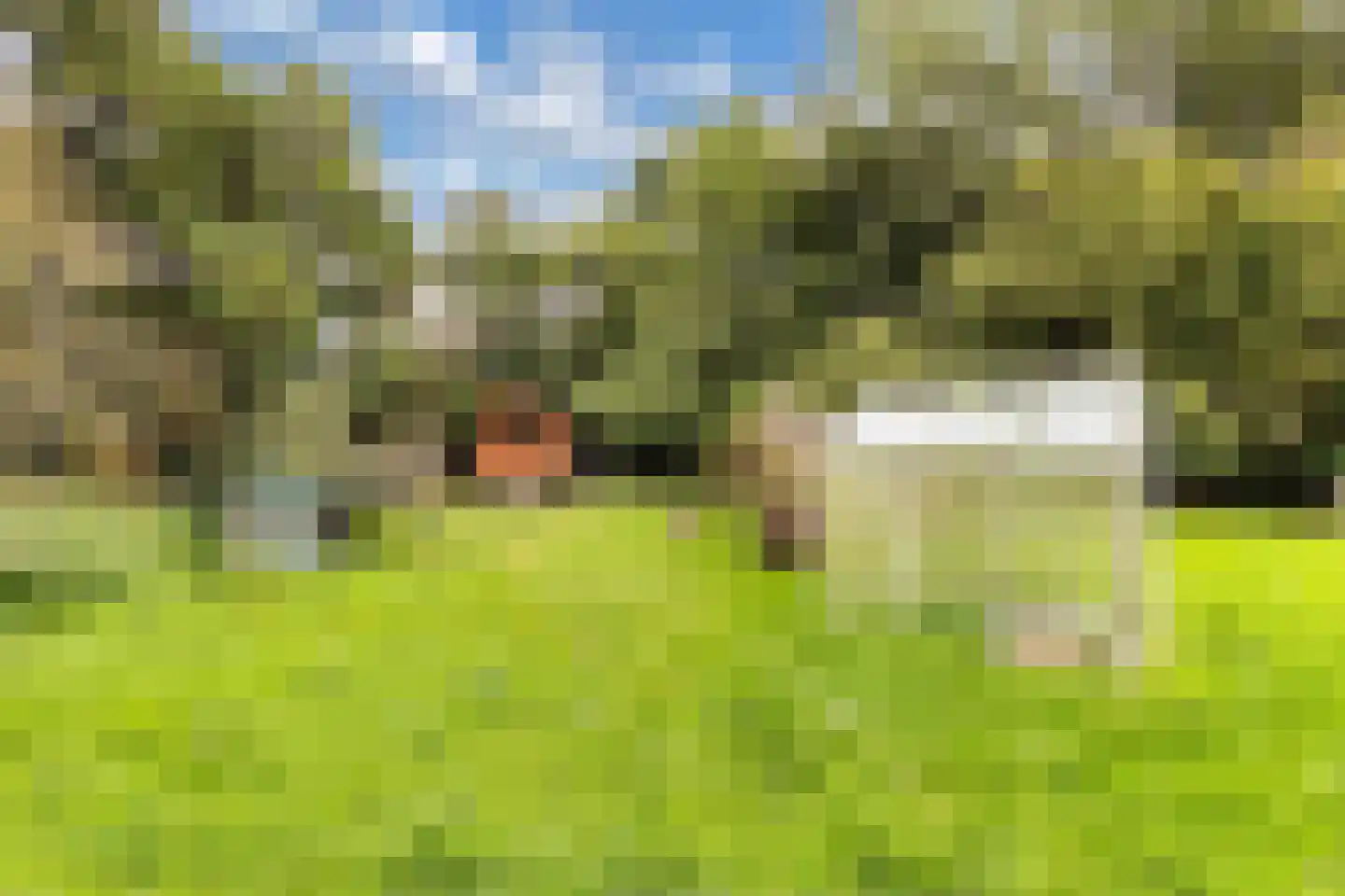 Legeloane 4 Augustinusga thumbnail 49