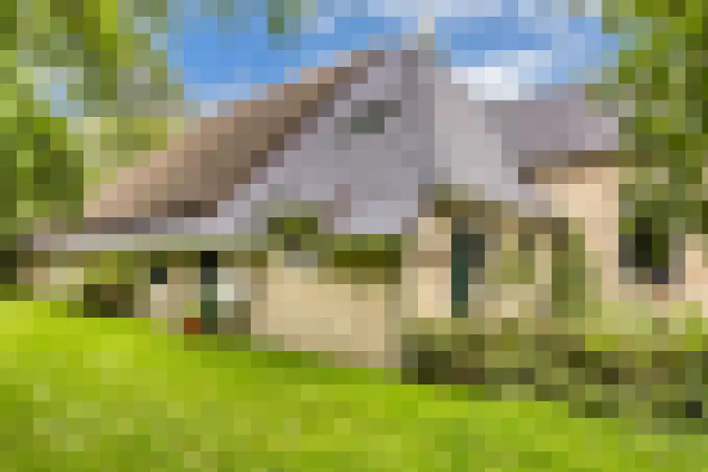 Legeloane 4 Augustinusga thumbnail 5