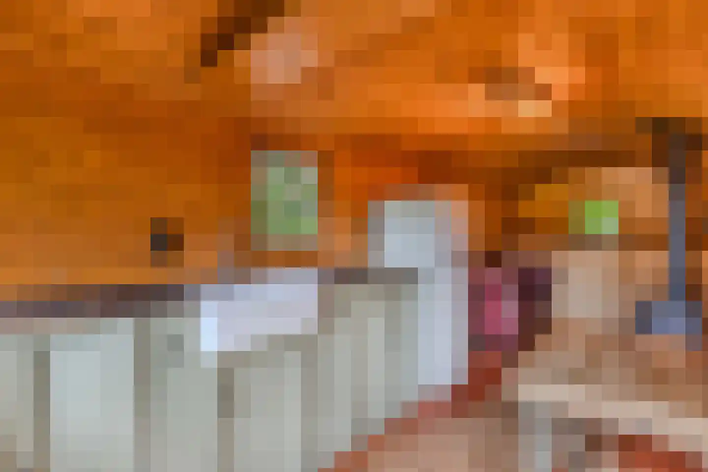 Legeloane 4 Augustinusga thumbnail 51