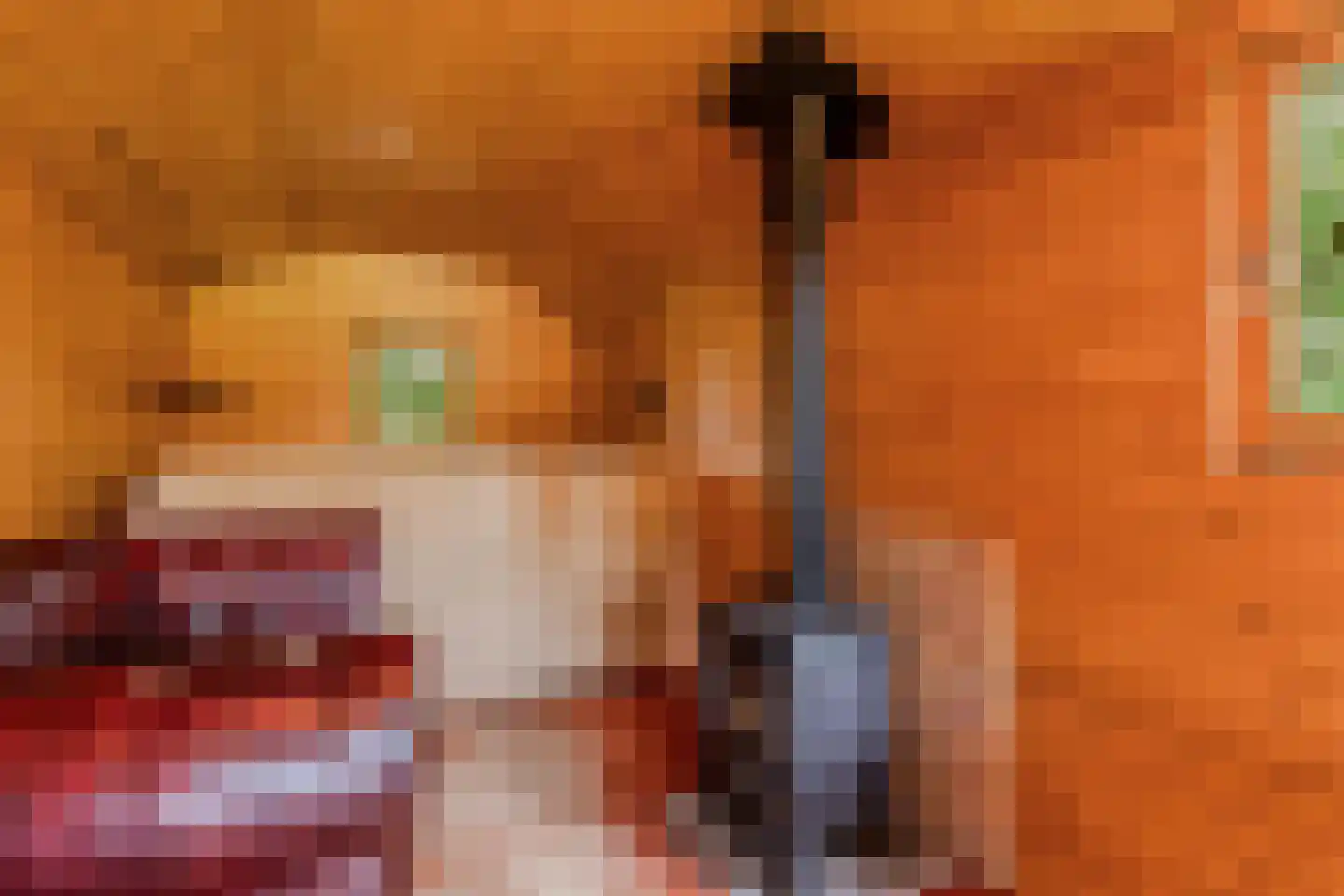 Legeloane 4 Augustinusga thumbnail 52