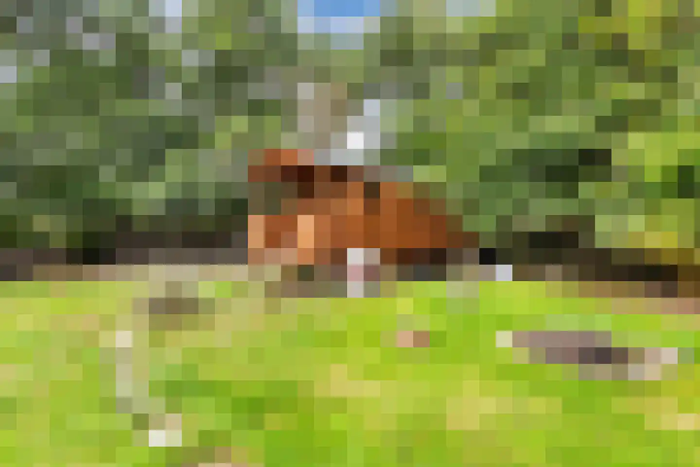 Legeloane 4 Augustinusga thumbnail 53
