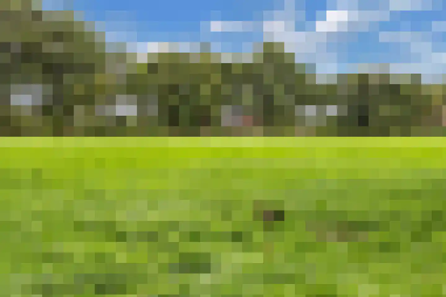 Legeloane 4 Augustinusga thumbnail 54