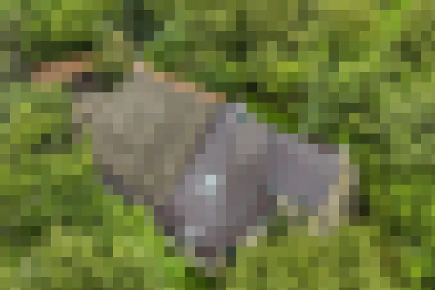 Legeloane 4 Augustinusga thumbnail 57