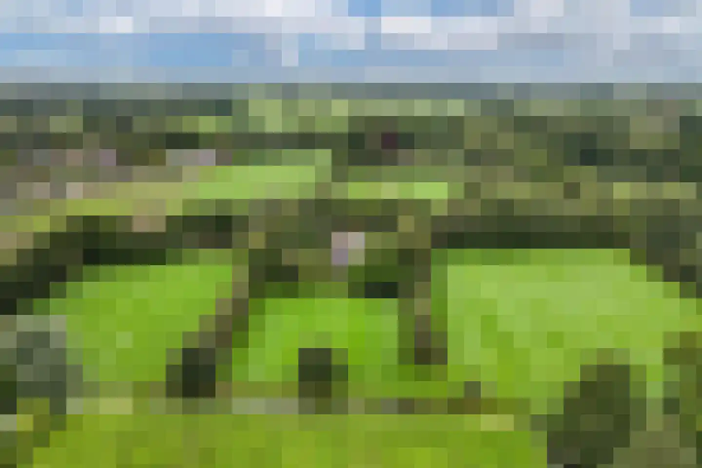 Legeloane 4 Augustinusga thumbnail 6